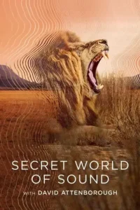 secret world of sound with david attenborough s01 2024