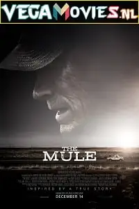 the mule 2018